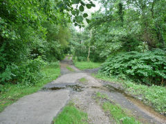 The site of some pre-1880s tips and shafts, un-named on the OS maps, ST 1787 9663, August 2012